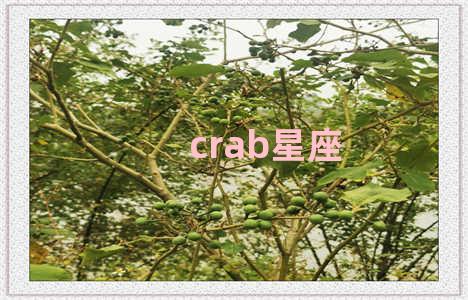 crab星座